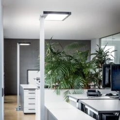 Luctra Vitawork Lampadaire Bureau LED 7 000 lm PIR