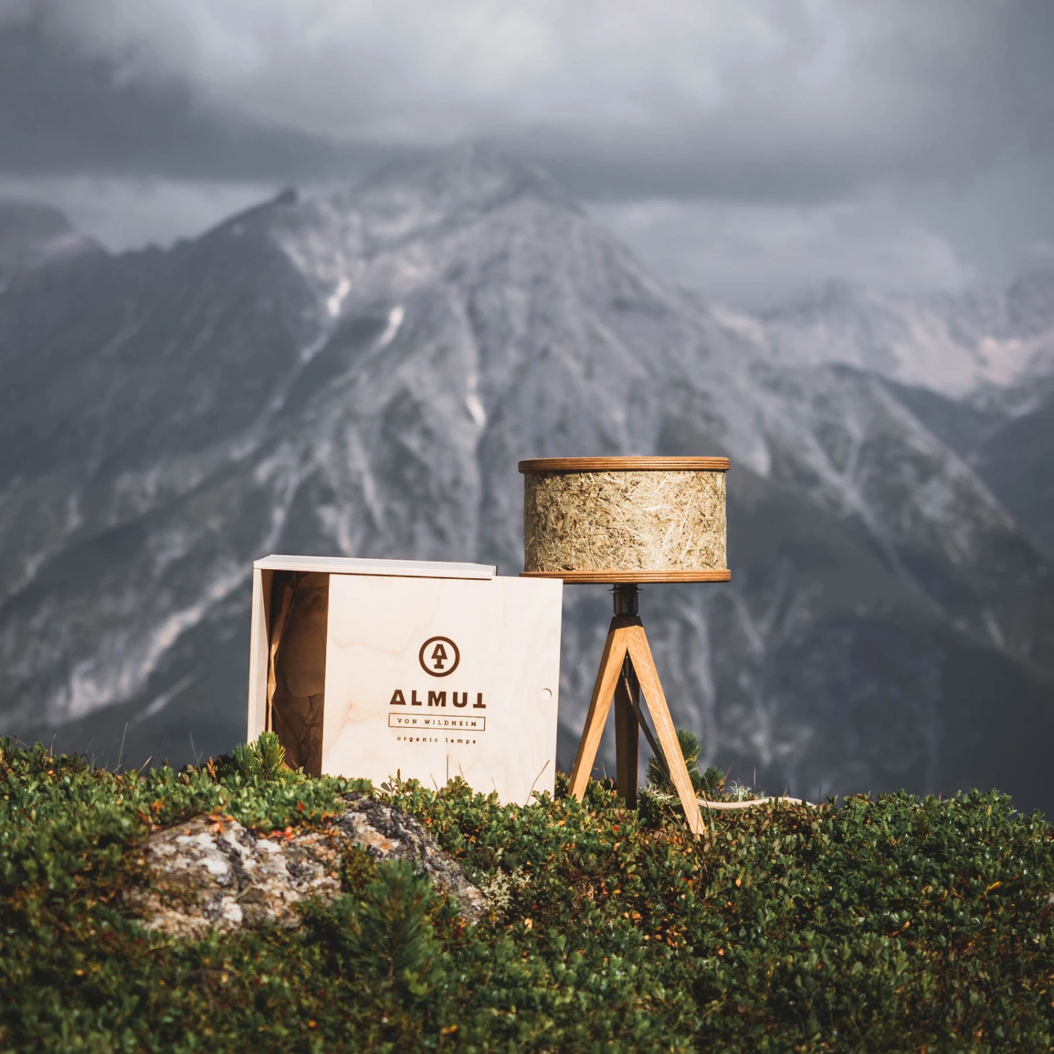 ALMUT 2610 Lampe à Poser, Foin Véritable 6 ALMUT 2610 Lampe à Poser, Foin Véritable – Image 4