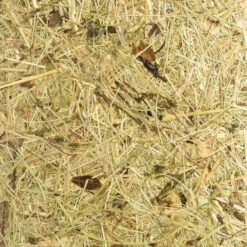 ALMUT 2610 Lampe à Poser, Foin Véritable 18 ALMUT 2610 Lampe à Poser, Foin Véritable -EGLO || By Rydens || Lucande Soldes 7594137 7