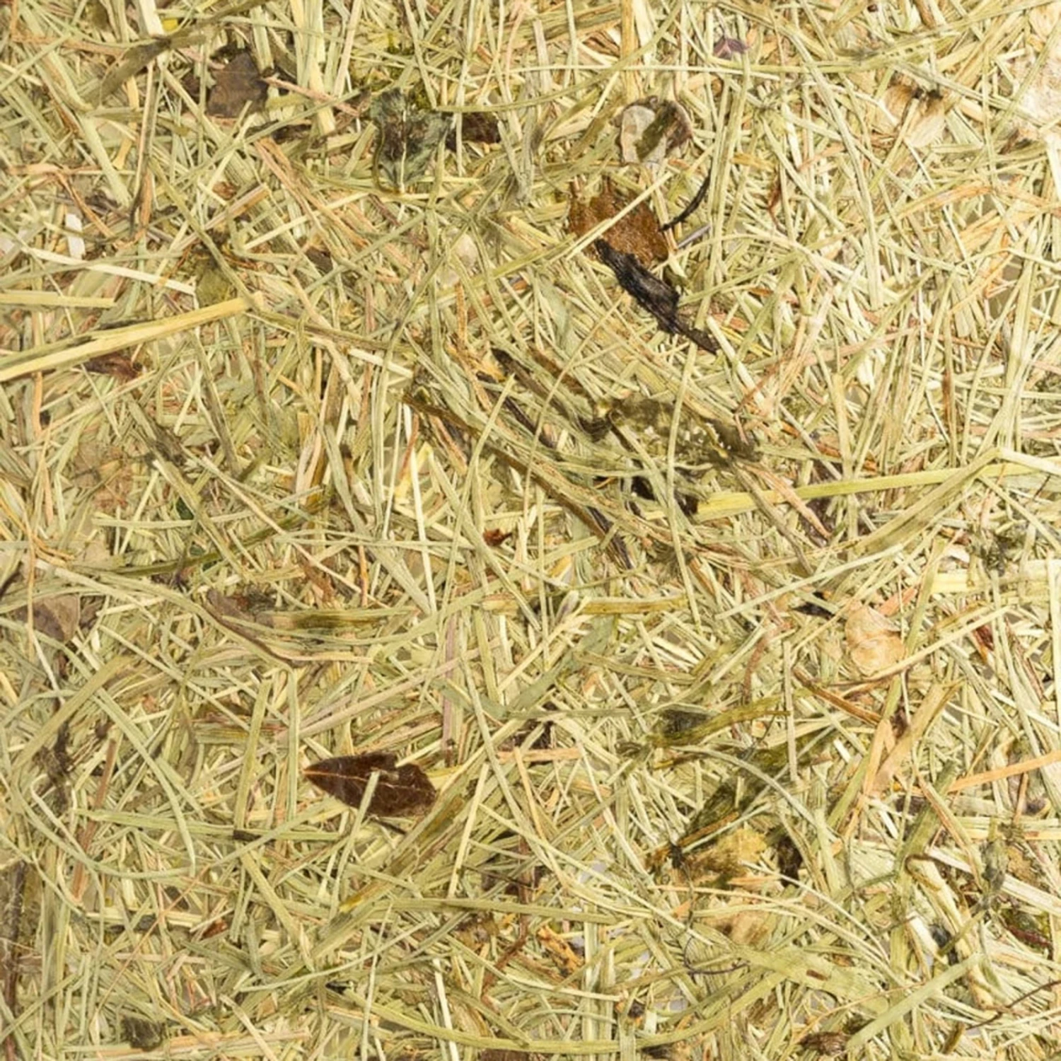 ALMUT 2610 Lampe à Poser, Foin Véritable 10 ALMUT 2610 Lampe à Poser, Foin Véritable – Image 8