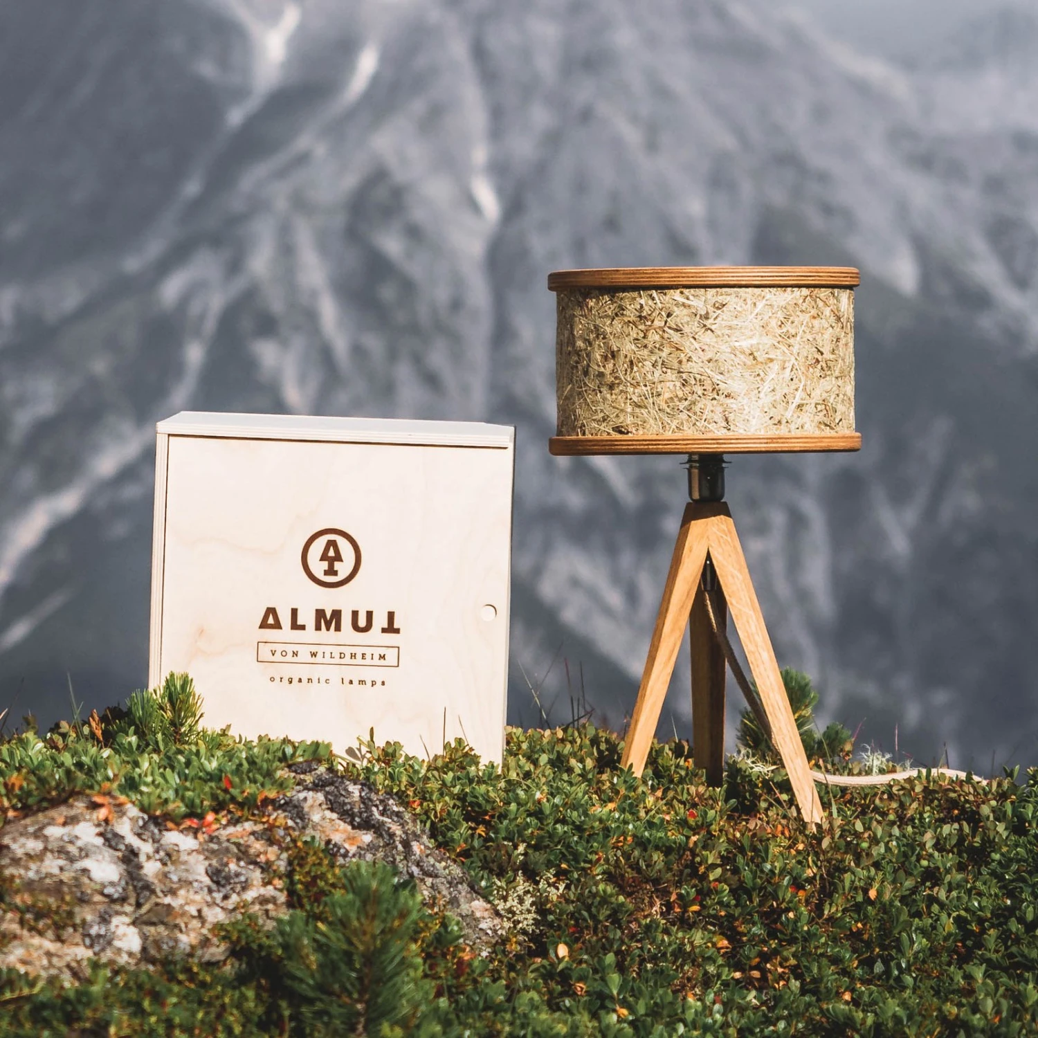 ALMUT 2610 Lampe à Poser, Foin Véritable 11 ALMUT 2610 Lampe à Poser, Foin Véritable – Image 9