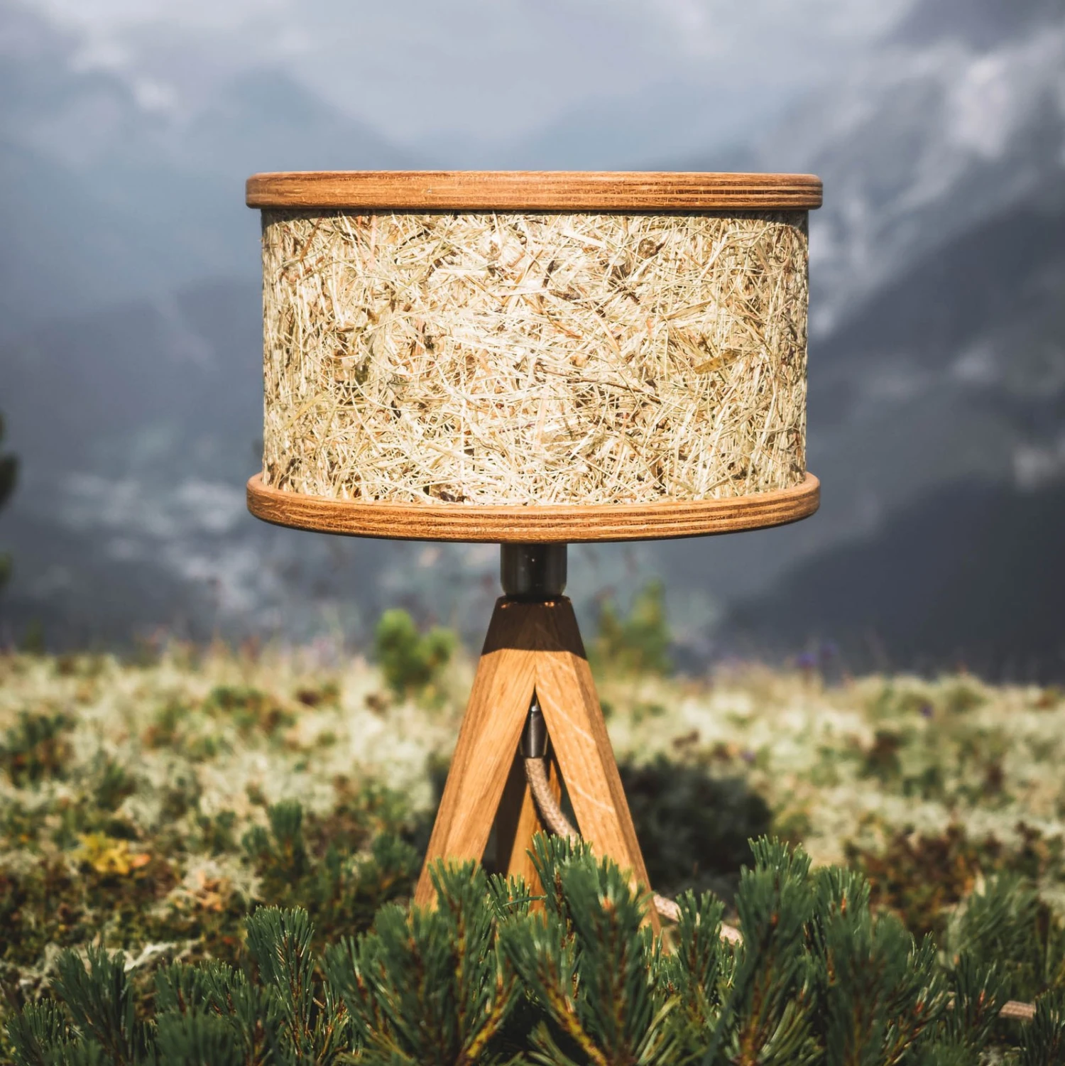 ALMUT 2610 Lampe à Poser, Foin Véritable 3 ALMUT 2610 Lampe à Poser, Foin Véritable